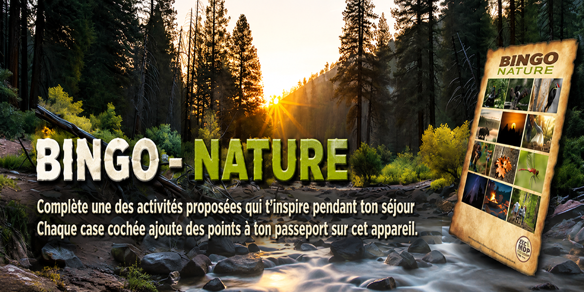 Bingo Nature